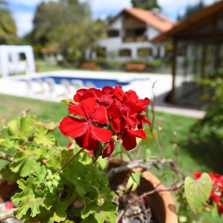 Quinta La Constanza Hotel Tababela Exterior foto